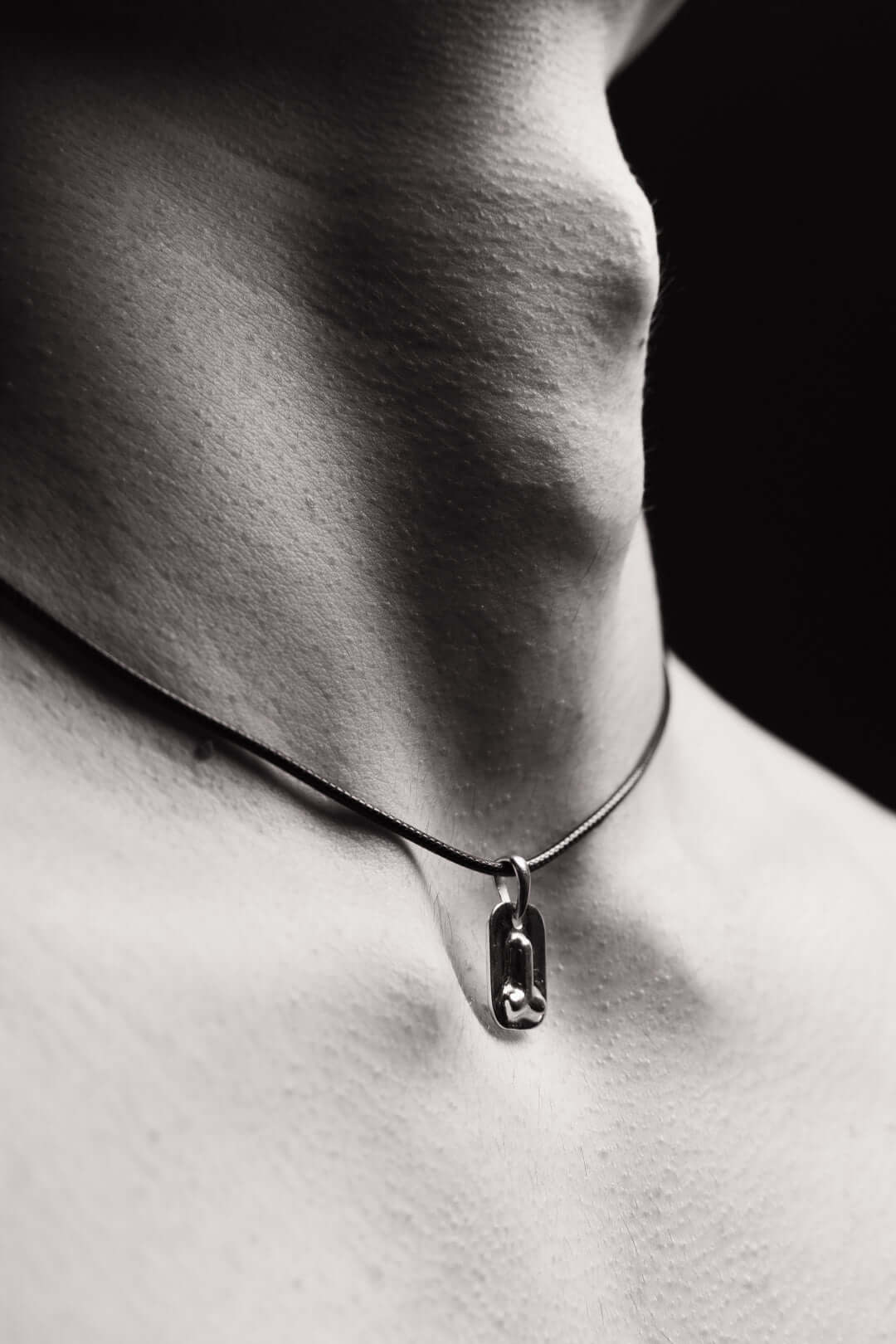 Підвіска Impress Hui