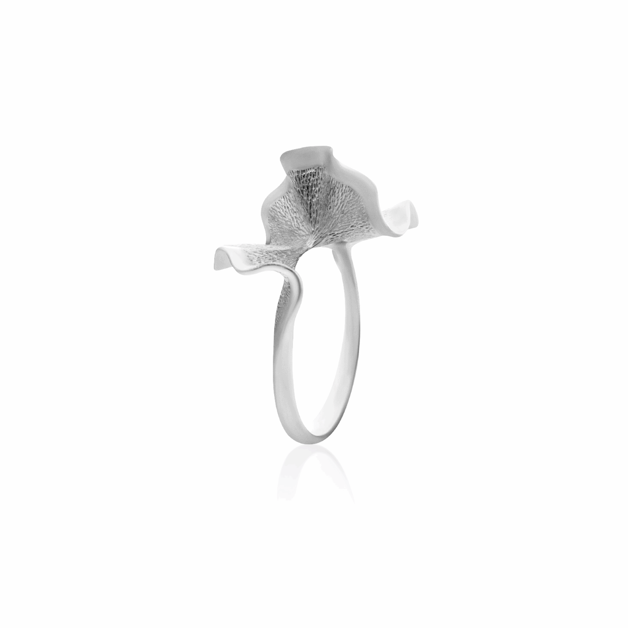 Sterling silver ring with sleek and modern aesthetics.